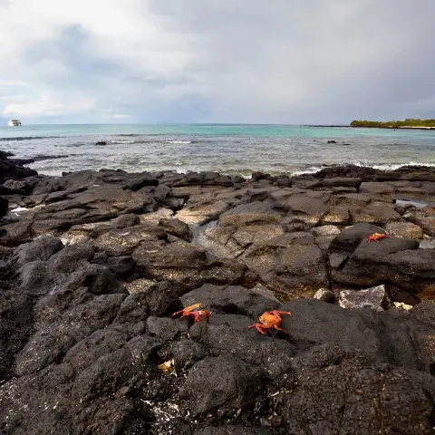 Bachas-Beach Rebecca Adventure Travel Bachas Beach - Galapagos Cruise