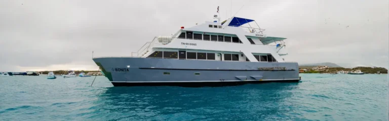 bonita galapagos cruise galapagos bonita cruise (1)