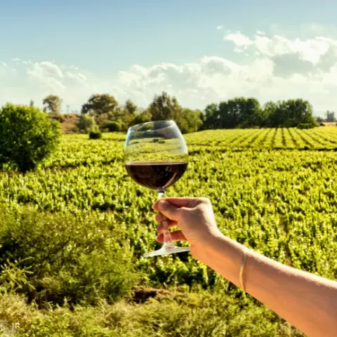 Cafayate-Wineyard-Argentina Rebecca Adventure Travel Cafayate Vineyard - Argentina Family day 6