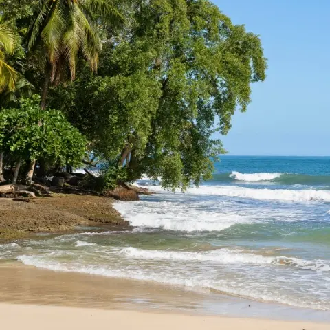 Cahuita-National-Park Rebecca Adventure Travel puerto viejo talamanca snorkeling - Costa Rica Family day 5