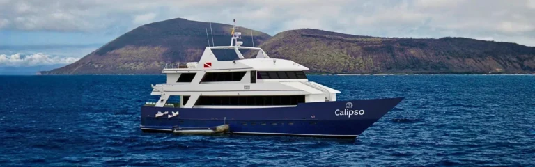 calipso galapagos cruise galapagos calipso cruise