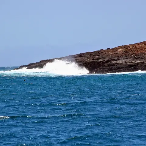 Chinese-Hat-Galapagos Rebecca Adventure Travel Chinese Hat - Santa cruz - Penguins Galapagos Cruise animals