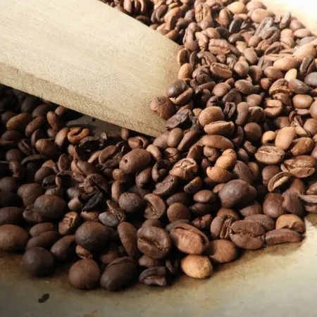 Coffee-Plantation Rebecca Adventure Travel Coffee Region - Colombia Coffee Tours