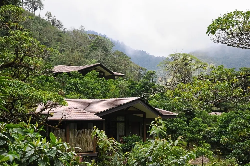 El Silencio Lodge & Spa (2)