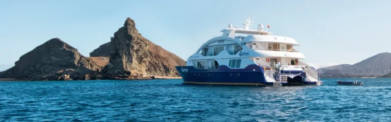 endemic galapagos cruise endemic galapagos cruise