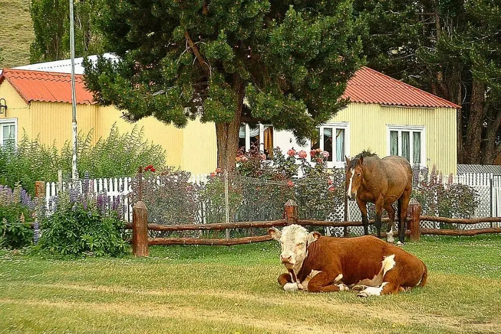 estancia la quinta estancia la quinta (2)