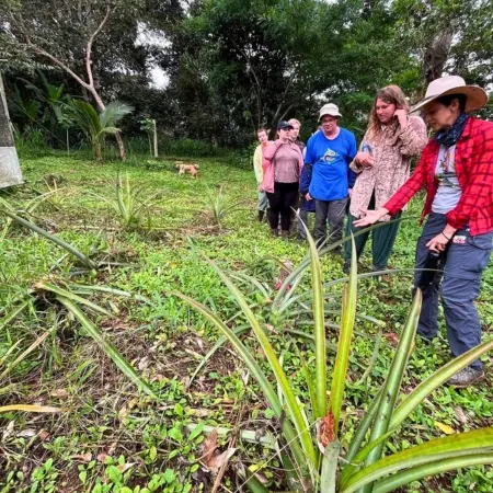 Finca-Mandinga-puerto-chino Rebecca Adventure Travel Finca Mandinga Volunteer - Puerto Chino - Puerto Chino