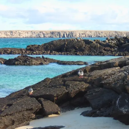 Genovesa-Island Rebecca Adventure Travel Genovesa Island - Galapagos Cruise Visit