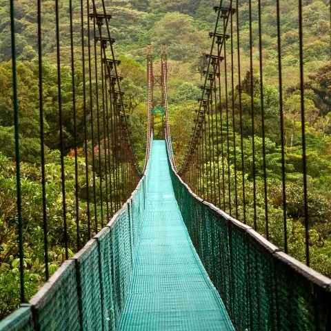 hanging-bridges-costa-rica Rebecca Adventure Travel hanging Bridges - Costa Rica Luxury day 6