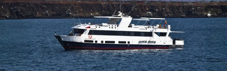 humboldt explorer galapagos cruise humboldt explorer galapagos cruise