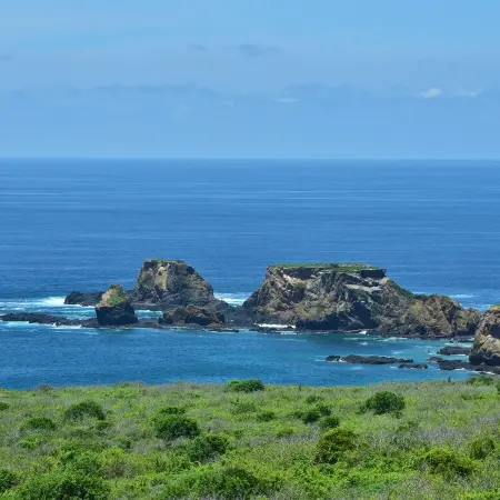 Isla-de-la-Plata Rebecca Adventure Travel Isla de la Plata - Coast Ecuador
