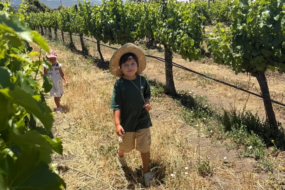 jose miguel sophie chile vineyard casablanca chile family trip - jose miguel sophie chile vineyard casablanca