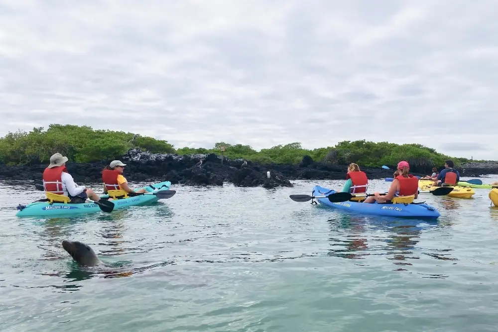 kayaking in the galapagos kayaking in galapagos