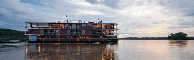manatee amazon cruise manatee amazon cruise