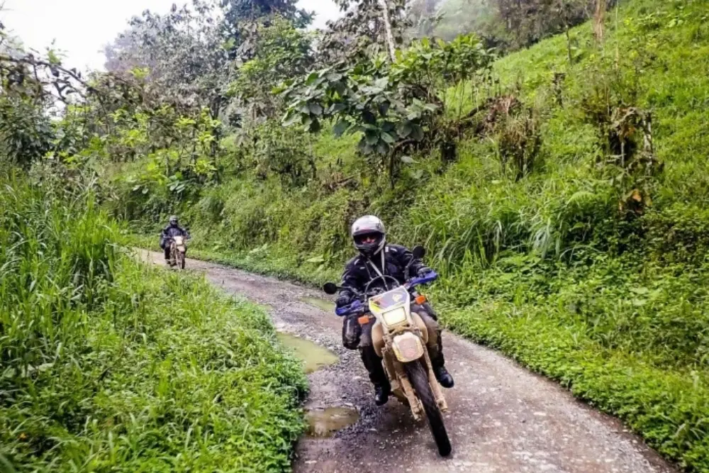 Mindo- butterfly farm