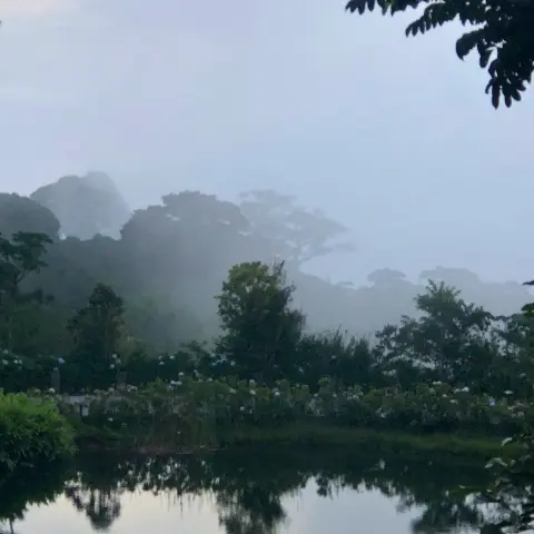 Monteverde-Costa-Rica Rebecca Adventure Travel Santa elena Arrival - Costa Rica Family day 10