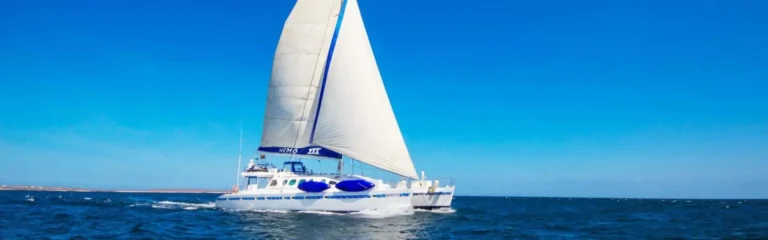 nemo 3 galapagos cruise nemo 3 galapagos cruise