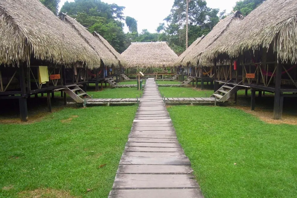 Nicky Lodge - Cuyabeno