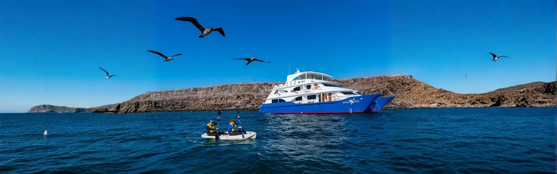 Ocean Spray Galapagos Cruise