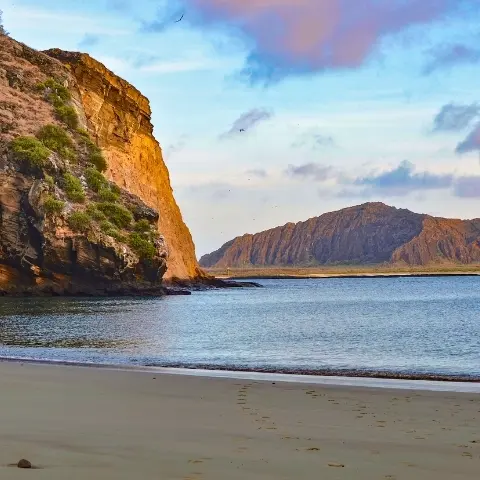 Pitt-Point-galapagos Rebecca Adventure Travel Pitt Point - Galapagos Cruise Visit Family adventure