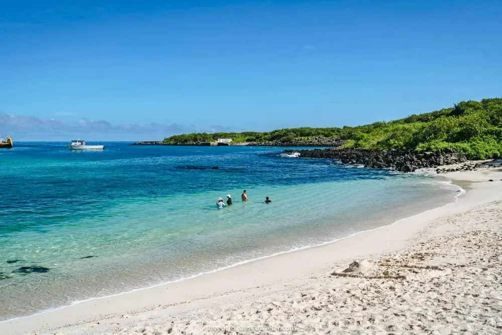 playa mann galapagos playa mann - san cristobal island