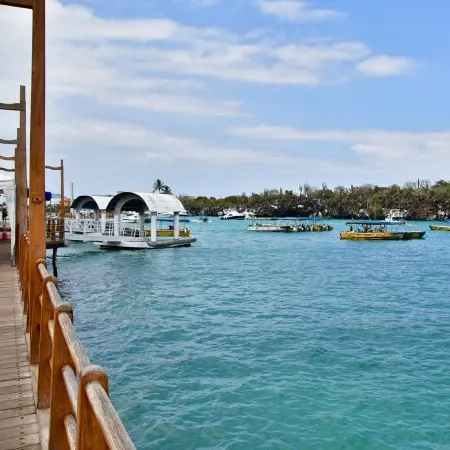 Puerto-Ayora-Galapagos Rebecca Adventure Travel Puerto Ayora - Galapagos