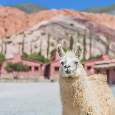 Purmamarca Rebecca Adventure Travel Purmamarca - Argentina Family day 9