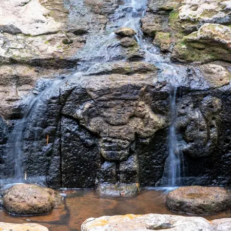 San-Agustin-Archaeological-Park Rebecca Adventure Travel San Agustin - Colombia