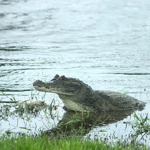 San-Luis-Natural-Reserve Rebecca Adventure Travel San Luis Reserve - Yopal