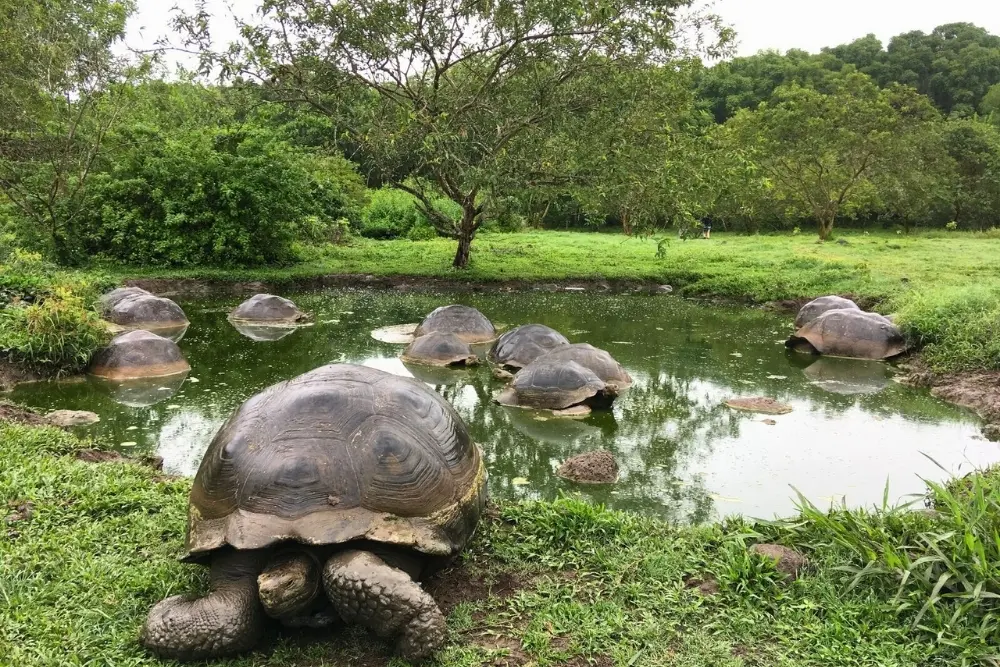 santa cruz highlands santa cruz highlands