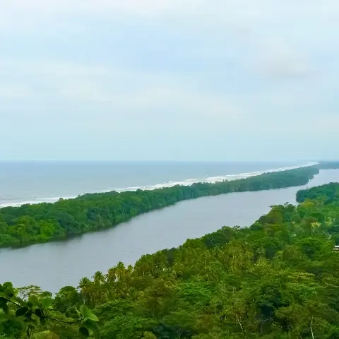 Tortuguero-National-Park Rebecca Adventure Travel Caño Blanco - Costa Rica Family day 2